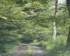 TBD Clover Run Road, Parsons, West Virginia 26287, 0 , 0 ,0,Lots/land,For Sale,Clover Run,0,10166214 TBD Clover Run Road, Parsons, West Virginia 26287, 0 , 0 ,0,Lots/land,For Sale,Clover Run,0,10166214