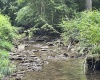 TBD Clover Run Road, Parsons, West Virginia 26287, 0 , 0 ,0,Lots/land,For Sale,Clover Run,0,10166214 TBD Clover Run Road, Parsons, West Virginia 26287, 0 , 0 ,0,Lots/land,For Sale,Clover Run,0,10166214