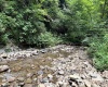 TBD Clover Run Road, Parsons, West Virginia 26287, 0 , 0 ,0,Lots/land,For Sale,Clover Run,0,10166214 TBD Clover Run Road, Parsons, West Virginia 26287, 0 , 0 ,0,Lots/land,For Sale,Clover Run,0,10166214