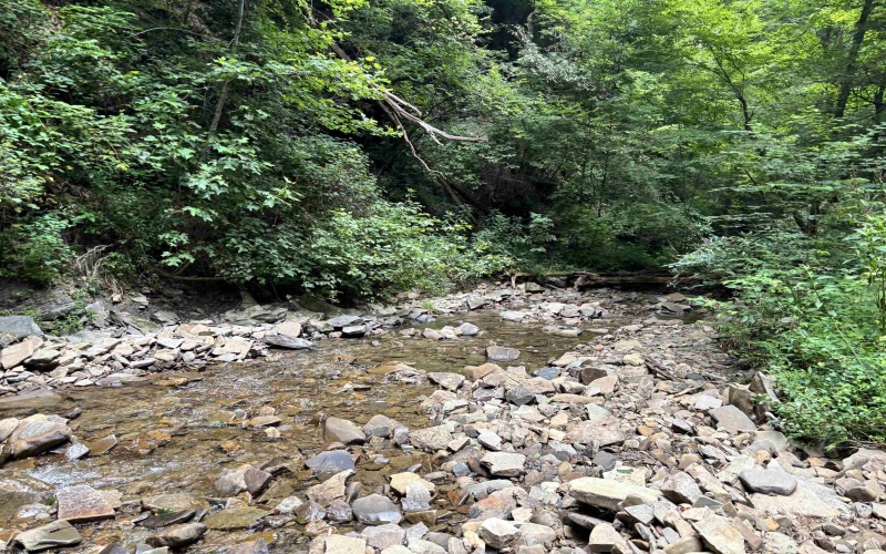 TBD Clover Run Road, Parsons, West Virginia 26287, 0 , 0 ,0,Lots/land,For Sale,Clover Run,0,10166214 TBD Clover Run Road, Parsons, West Virginia 26287, 0 , 0 ,0,Lots/land,For Sale,Clover Run,0,10166214
