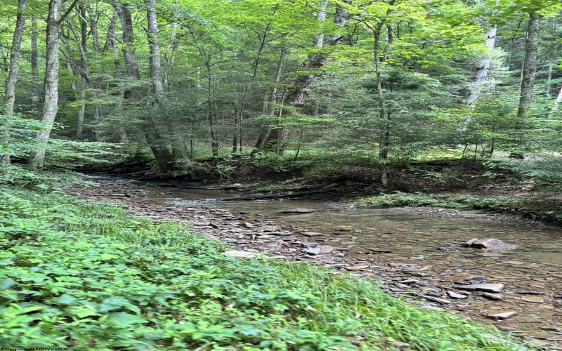 TBD Clover Run Road, Parsons, West Virginia 26287, 0 , 0 ,0,Lots/land,For Sale,Clover Run,0,10166214 TBD Clover Run Road, Parsons, West Virginia 26287, 0 , 0 ,0,Lots/land,For Sale,Clover Run,0,10166214
