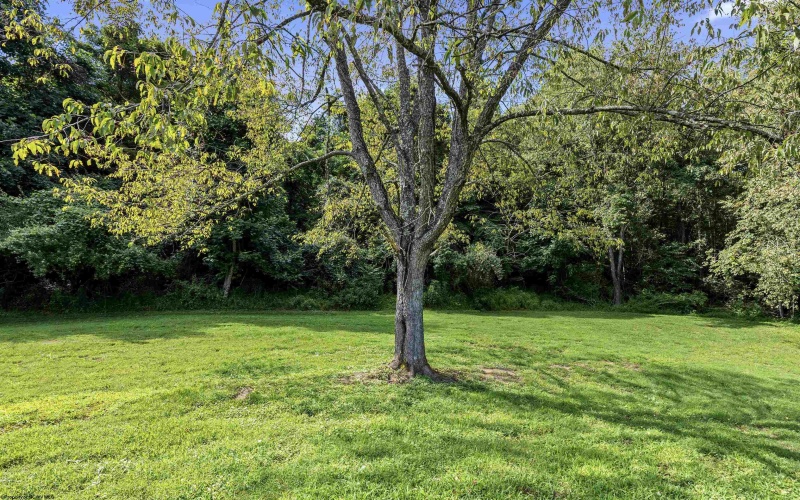 2595 Big Run Road, Walkersville, West Virginia 26447-8159, 2 Bedrooms Bedrooms, 5 Rooms Rooms,1 BathroomBathrooms,Single Family Detached,For Sale,Big Run,0,10166237