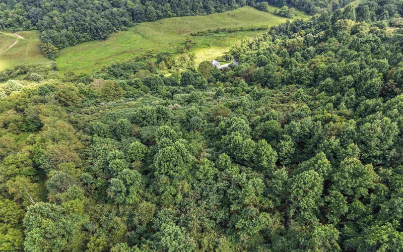2595 Big Run Road, Walkersville, West Virginia 26447-8159, 2 Bedrooms Bedrooms, 5 Rooms Rooms,1 BathroomBathrooms,Single Family Detached,For Sale,Big Run,0,10166237