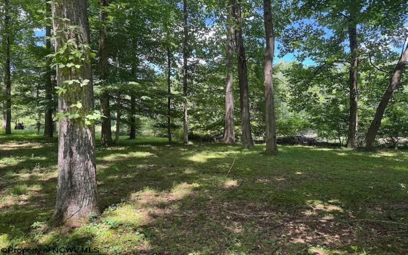 TBD Brooklyn Heights Road, Parsons, West Virginia 26287, 0 , 0 ,0,Lots/land,For Sale,Brooklyn Heights,0,10166223 TBD Brooklyn Heights Road, Parsons, West Virginia 26287, 0 , 0 ,0,Lots/land,For Sale,Brooklyn Heights,0,10166223