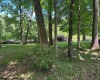 TBD Brooklyn Heights Road, Parsons, West Virginia 26287, 0 , 0 ,0,Lots/land,For Sale,Brooklyn Heights,0,10166223 TBD Brooklyn Heights Road, Parsons, West Virginia 26287, 0 , 0 ,0,Lots/land,For Sale,Brooklyn Heights,0,10166223