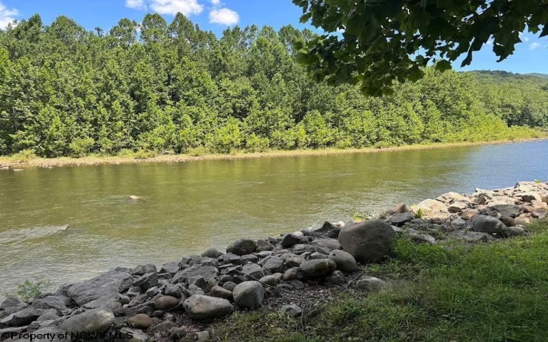 TBD Brooklyn Heights Road, Parsons, West Virginia 26287, 0 , 0 ,0,Lots/land,For Sale,Brooklyn Heights,0,10166223 TBD Brooklyn Heights Road, Parsons, West Virginia 26287, 0 , 0 ,0,Lots/land,For Sale,Brooklyn Heights,0,10166223