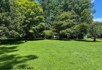 TBD Brooklyn Heights Road, Parsons, West Virginia 26287, 0 , 0 ,0,Lots/land,For Sale,Brooklyn Heights,0,10166223