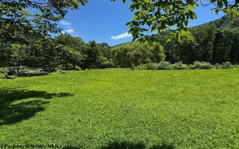 TBD Brooklyn Heights Road, Parsons, West Virginia 26287, 0 , 0 ,0,Lots/land,For Sale,Brooklyn Heights,0,10166223 TBD Brooklyn Heights Road, Parsons, West Virginia 26287, 0 , 0 ,0,Lots/land,For Sale,Brooklyn Heights,0,10166223