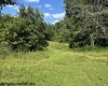 TBD Route 19 Highway, Lost Creek, West Virginia 26385, 0 , 0 ,0,Lots/land,For Sale,Route 19,0,10166241
