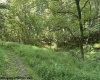 TBD Route 19 Highway, Lost Creek, West Virginia 26385, 0 , 0 ,0,Lots/land,For Sale,Route 19,0,10166241