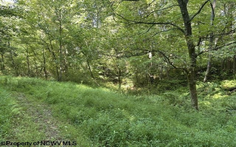 TBD Route 19 Highway, Lost Creek, West Virginia 26385, 0 , 0 ,0,Lots/land,For Sale,Route 19,0,10166241