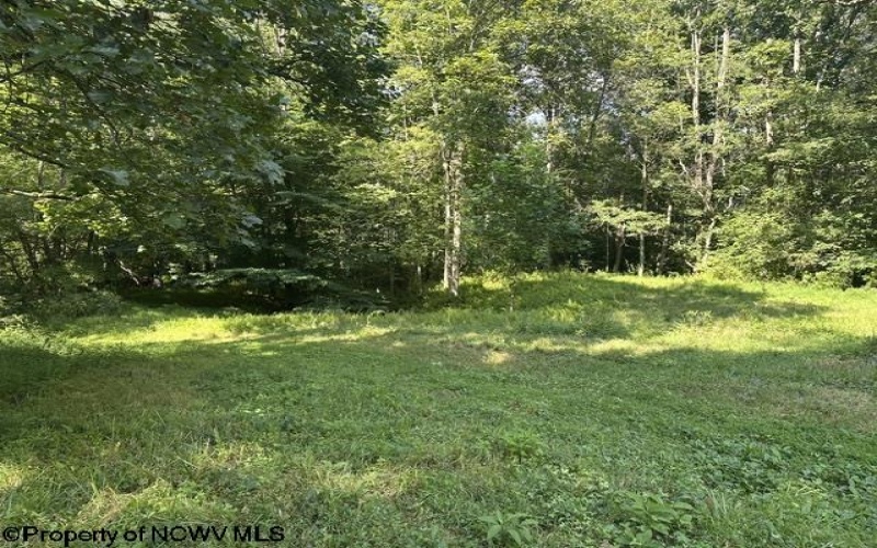 TBD Route 19 Highway, Lost Creek, West Virginia 26385, 0 , 0 ,0,Lots/land,For Sale,Route 19,0,10166241