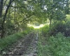 TBD Route 19 Highway, Lost Creek, West Virginia 26385, 0 , 0 ,0,Lots/land,For Sale,Route 19,0,10166241