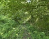 TBD Route 19 Highway, Lost Creek, West Virginia 26385, 0 , 0 ,0,Lots/land,For Sale,Route 19,0,10166241