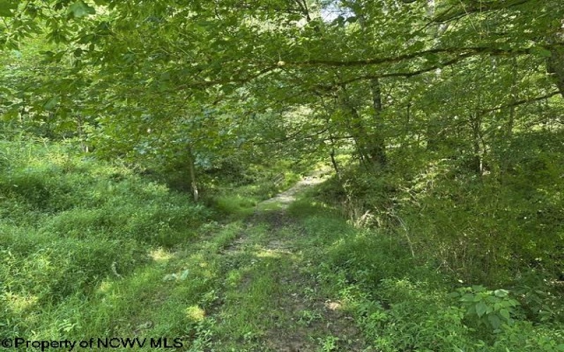 TBD Route 19 Highway, Lost Creek, West Virginia 26385, 0 , 0 ,0,Lots/land,For Sale,Route 19,0,10166241