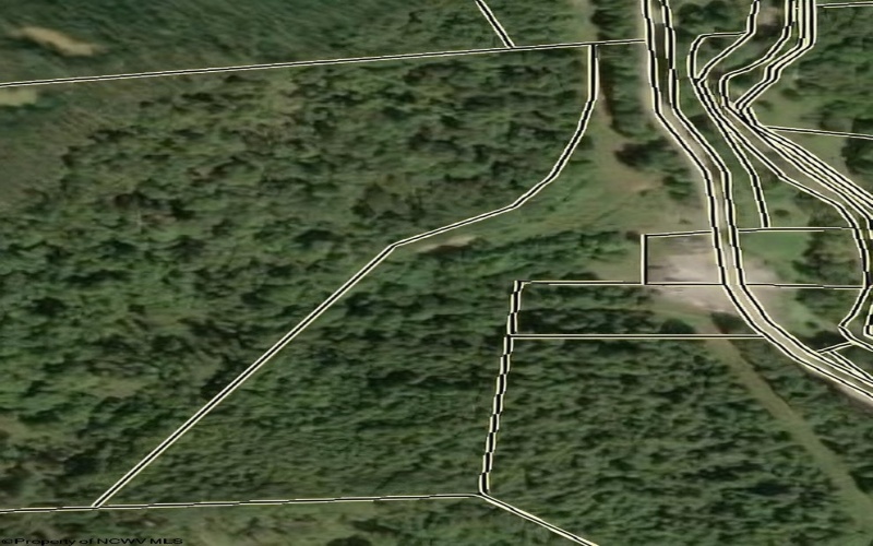 15090 Route 20 South Road, Rock Cave, West Virginia 26234, 0 , 0 ,0,Lots/land,For Sale,Route 20 South,0,10160772