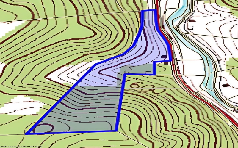 15090 Route 20 South Road, Rock Cave, West Virginia 26234, 0 , 0 ,0,Lots/land,For Sale,Route 20 South,0,10160772
