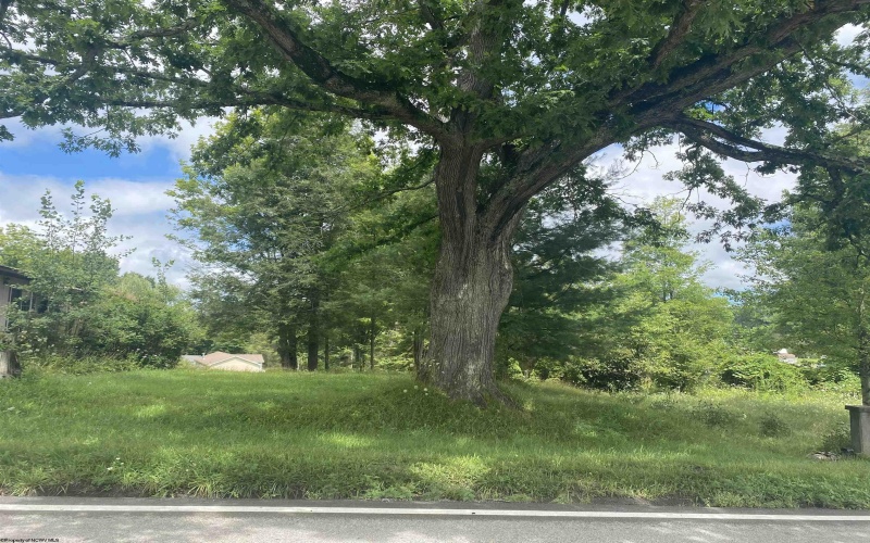 24121 George Washington Highway, Aurora, West Virginia 26762, 3 Bedrooms Bedrooms, 8 Rooms Rooms,3 BathroomsBathrooms,Single Family Detached,For Sale,George Washington,0,10166260 24121 George Washington Highway, Aurora, West Virginia 26762, 3 Bedrooms Bedrooms, 8 Rooms Rooms,3 BathroomsBathrooms,Single Family Detached,For Sale,George Washington,0,10166260