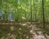 407 Wagon Wheel Road, Huttonsville, West Virginia 26273, 4 Bedrooms Bedrooms, 7 Rooms Rooms,2 BathroomsBathrooms,Single Family Detached,For Sale,Wagon Wheel,0,10166244