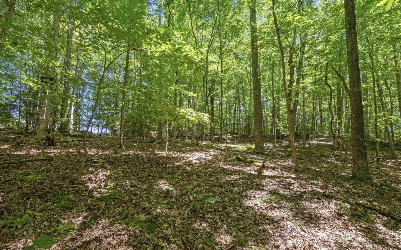407 Wagon Wheel Road, Huttonsville, West Virginia 26273, 4 Bedrooms Bedrooms, 7 Rooms Rooms,2 BathroomsBathrooms,Single Family Detached,For Sale,Wagon Wheel,0,10166244