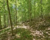 407 Wagon Wheel Road, Huttonsville, West Virginia 26273, 4 Bedrooms Bedrooms, 7 Rooms Rooms,2 BathroomsBathrooms,Single Family Detached,For Sale,Wagon Wheel,0,10166244
