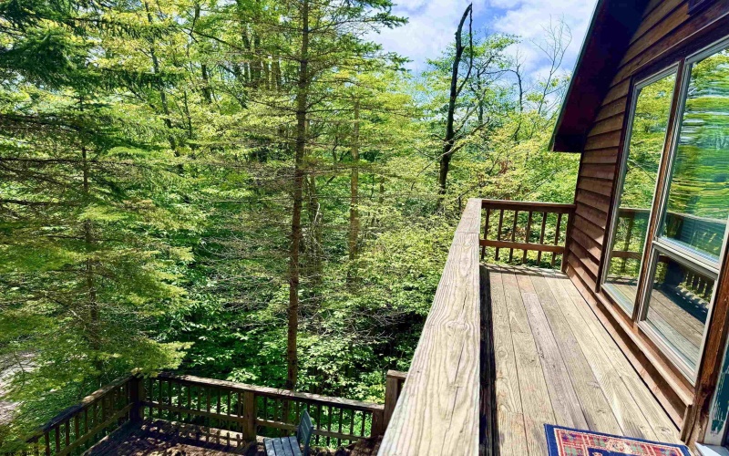 22 Snow Run Road, Davis, West Virginia 26260, 3 Bedrooms Bedrooms, 5 Rooms Rooms,3 BathroomsBathrooms,Single Family Detached,For Sale,Snow Run,0,10166255 22 Snow Run Road, Davis, West Virginia 26260, 3 Bedrooms Bedrooms, 5 Rooms Rooms,3 BathroomsBathrooms,Single Family Detached,For Sale,Snow Run,0,10166255