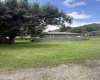 25267 Seneca Trail, Valley Head, West Virginia 26294, 2 Bedrooms Bedrooms, 4 Rooms Rooms,1 BathroomBathrooms,Single Family Detached,For Sale,Seneca,0,10166300