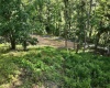 TBD McChord Run Road, Walkersville, West Virginia 26447, 0 , 0 ,0,Lots/land,For Sale,McChord Run,0,10166313