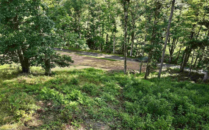 TBD McChord Run Road, Walkersville, West Virginia 26447, 0 , 0 ,0,Lots/land,For Sale,McChord Run,0,10166313