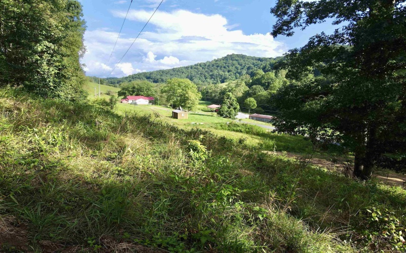 TBD McChord Run Road, Walkersville, West Virginia 26447, 0 , 0 ,0,Lots/land,For Sale,McChord Run,0,10166313