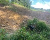 TBD McChord Run Road, Walkersville, West Virginia 26447, 0 , 0 ,0,Lots/land,For Sale,McChord Run,0,10166313
