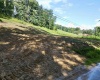TBD McChord Run Road, Walkersville, West Virginia 26447, 0 , 0 ,0,Lots/land,For Sale,McChord Run,0,10166313