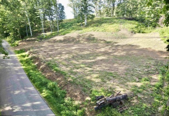 TBD McChord Run Road, Walkersville, West Virginia 26447, 0 , 0 ,0,Lots/land,For Sale,McChord Run,0,10166313