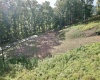 TBD McChord Run Road, Walkersville, West Virginia 26447, 0 , 0 ,0,Lots/land,For Sale,McChord Run,0,10166313