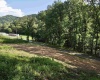 TBD McChord Run Road, Walkersville, West Virginia 26447, 0 , 0 ,0,Lots/land,For Sale,McChord Run,0,10166313