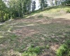 TBD McChord Run Road, Walkersville, West Virginia 26447, 0 , 0 ,0,Lots/land,For Sale,McChord Run,0,10166313