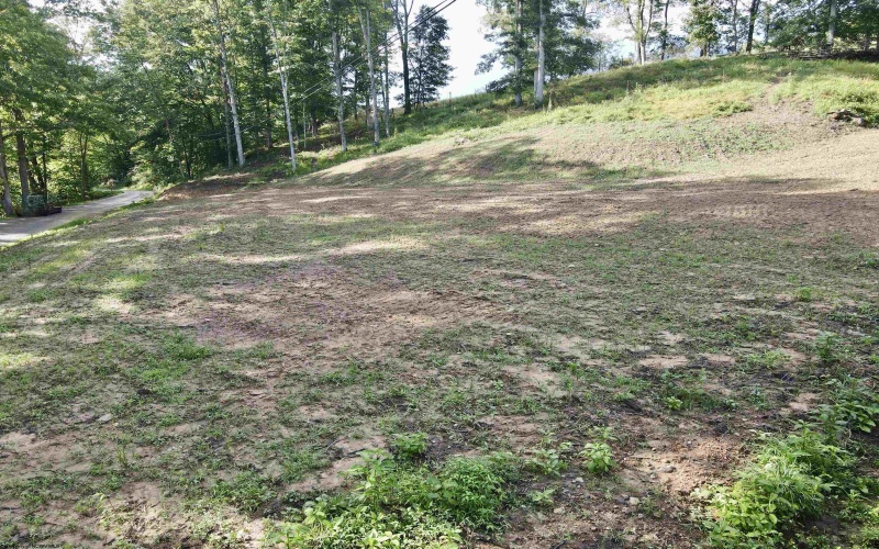 TBD McChord Run Road, Walkersville, West Virginia 26447, 0 , 0 ,0,Lots/land,For Sale,McChord Run,0,10166313