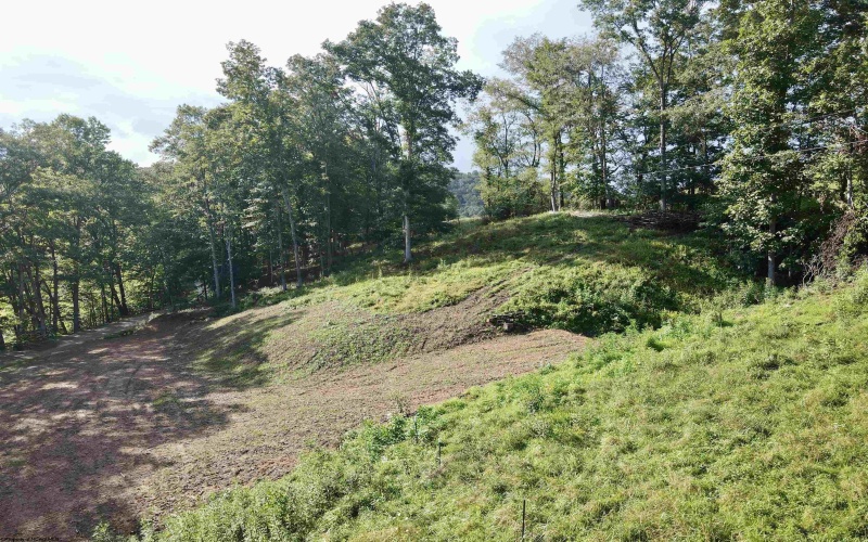 TBD McChord Run Road, Walkersville, West Virginia 26447, 0 , 0 ,0,Lots/land,For Sale,McChord Run,0,10166313