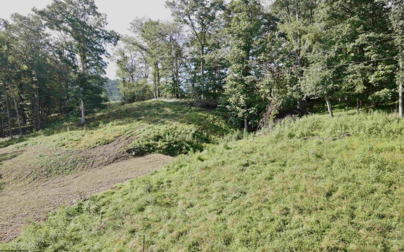 TBD McChord Run Road, Walkersville, West Virginia 26447, 0 , 0 ,0,Lots/land,For Sale,McChord Run,0,10166313