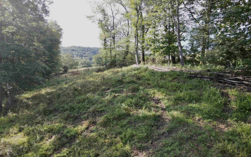 TBD McChord Run Road, Walkersville, West Virginia 26447, 0 , 0 ,0,Lots/land,For Sale,McChord Run,0,10166313