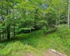 626 Sand Run Road, Davis, West Virginia 26260, 3 Bedrooms Bedrooms, 6 Rooms Rooms,2 BathroomsBathrooms,Single Family Detached,For Sale,Sand Run,0,10166311