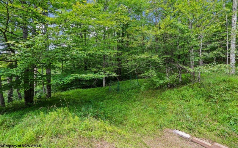 626 Sand Run Road, Davis, West Virginia 26260, 3 Bedrooms Bedrooms, 6 Rooms Rooms,2 BathroomsBathrooms,Single Family Detached,For Sale,Sand Run,0,10166311