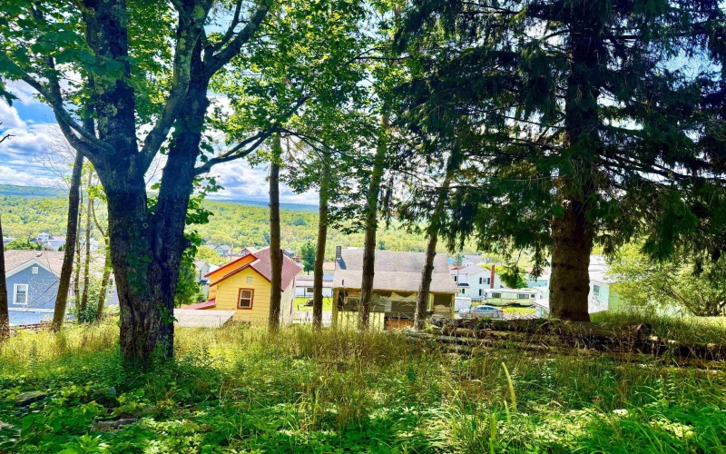 Lot 7 Groundhog Alley, Davis, West Virginia 26260-0000, 0 , 0 ,0,Lots/land,For Sale,Groundhog,0,10166324
