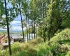 Lot 7 Groundhog Alley, Davis, West Virginia 26260-0000, 0 , 0 ,0,Lots/land,For Sale,Groundhog,0,10166324