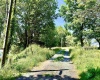 Lot 7 Groundhog Alley, Davis, West Virginia 26260-0000, 0 , 0 ,0,Lots/land,For Sale,Groundhog,0,10166324