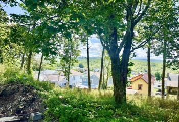 Lot 5 Groundhog Alley, Davis, West Virginia 26260-0000, 0 , 0 ,0,Lots/land,For Sale,Groundhog,0,10166326