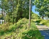 Lot 5 Groundhog Alley, Davis, West Virginia 26260-0000, 0 , 0 ,0,Lots/land,For Sale,Groundhog,0,10166326