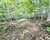 212 Stoney Lane, Morgantown, West Virginia 26508, 0 , 0 ,0,Lots/land,For Sale,Stoney,0,10166340 212 Stoney Lane, Morgantown, West Virginia 26508, 0 , 0 ,0,Lots/land,For Sale,Stoney,0,10166340