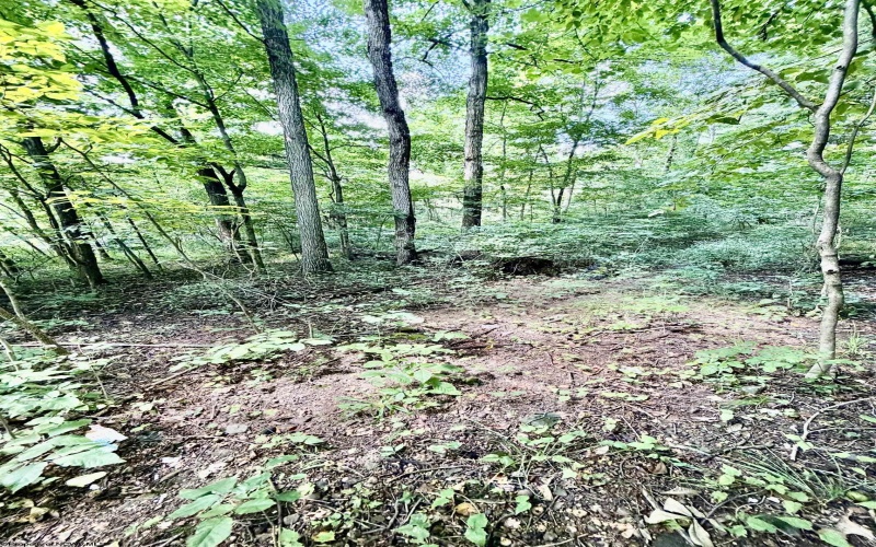 212 Stoney Lane, Morgantown, West Virginia 26508, 0 , 0 ,0,Lots/land,For Sale,Stoney,0,10166340 212 Stoney Lane, Morgantown, West Virginia 26508, 0 , 0 ,0,Lots/land,For Sale,Stoney,0,10166340