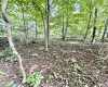 212 Stoney Lane, Morgantown, West Virginia 26508, 0 , 0 ,0,Lots/land,For Sale,Stoney,0,10166340 212 Stoney Lane, Morgantown, West Virginia 26508, 0 , 0 ,0,Lots/land,For Sale,Stoney,0,10166340